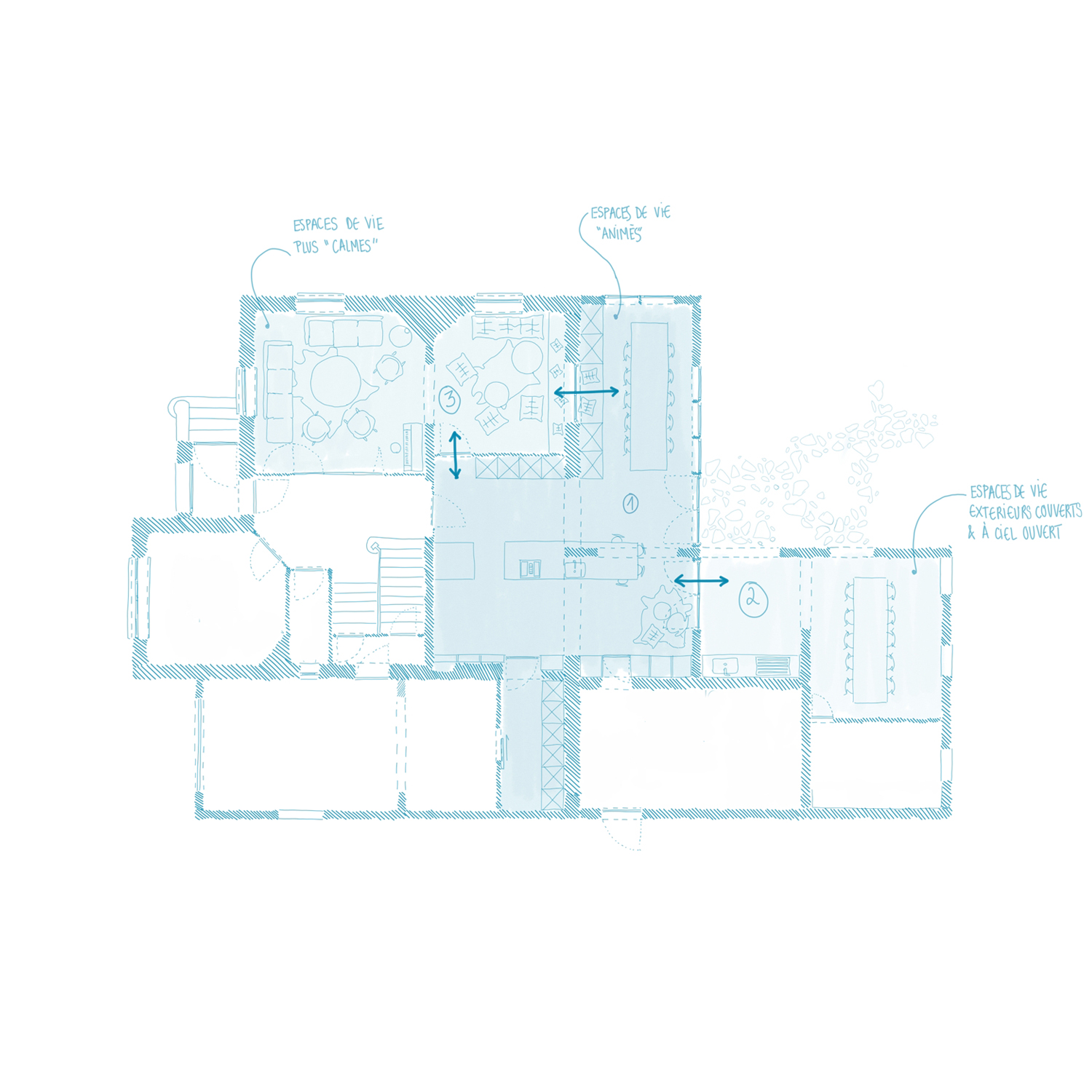 Esquisse pour la rénovation d'une maison et une extension en ossature bois, à Nancy